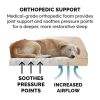 Pet Products Plush & Performance Linen Orthopedic Sofa Pet Bed for Dogs & Cats - Flax, Large