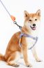 Touchdog 'Macaron' 2-in-1 Durable Nylon Dog Harness and Leash